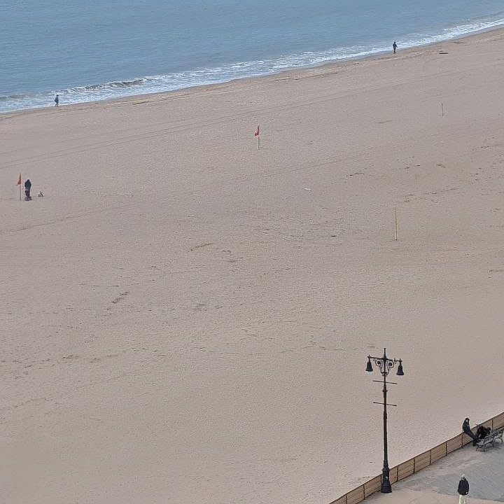1st image of 50 Brighton 1 Rd #11D