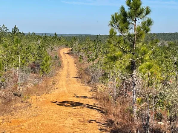 Jim Snow Rd, Uriah, AL 36480