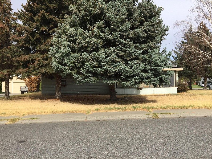 1st image of 623 Birch Ave