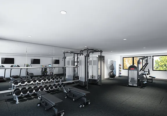 Rented by Bold New York | media 37