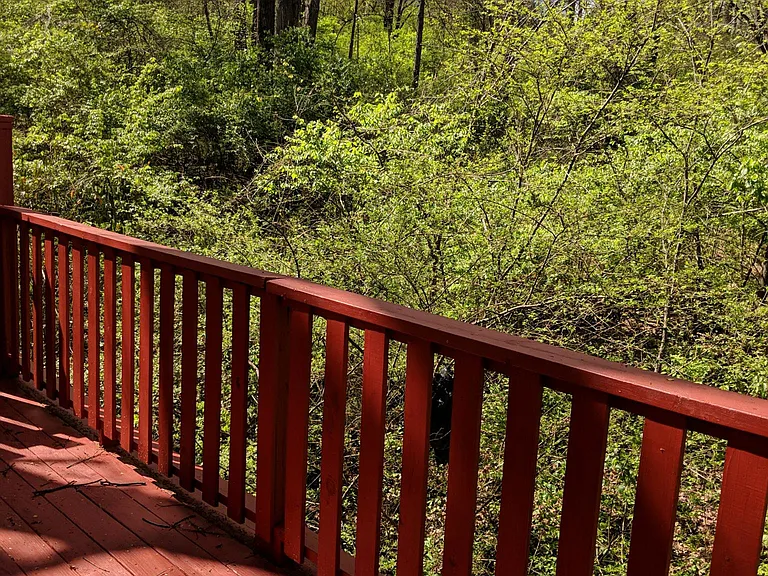124 Five Oaks Dr — Photo 10