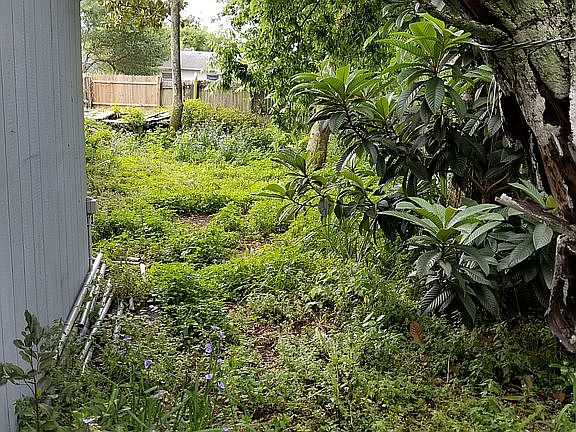 Back of property behind 2nd shed