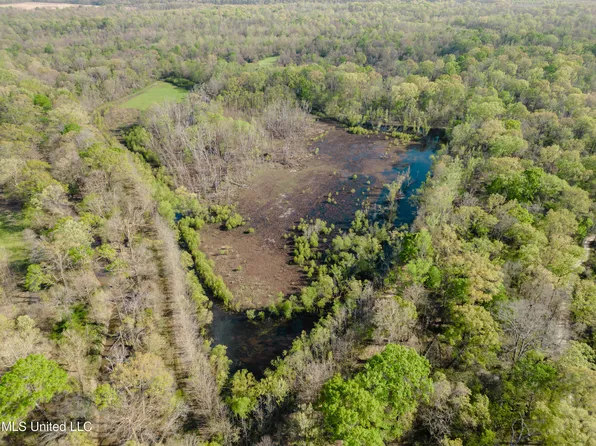 Cox Ferry Rd, Bentonia, MS 39040