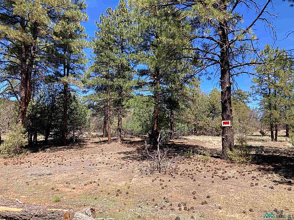 2nd image of Doe Rim Loop