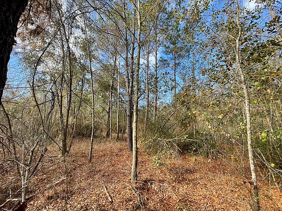 3rd image of Adolph Kemp Rd