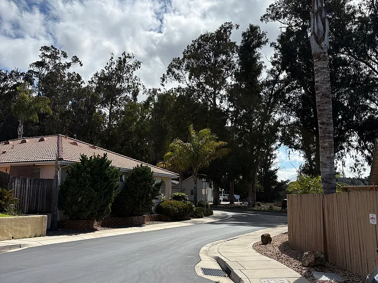 1860 Via Arturo — Photo 3