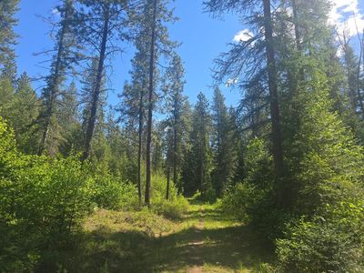 36XX Northport Flat Creek Rd, Kettle Falls, WA, 99141