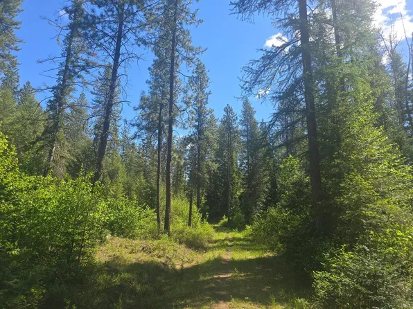 36XX Northport Flat Creek Rd, Kettle Falls, WA 99141