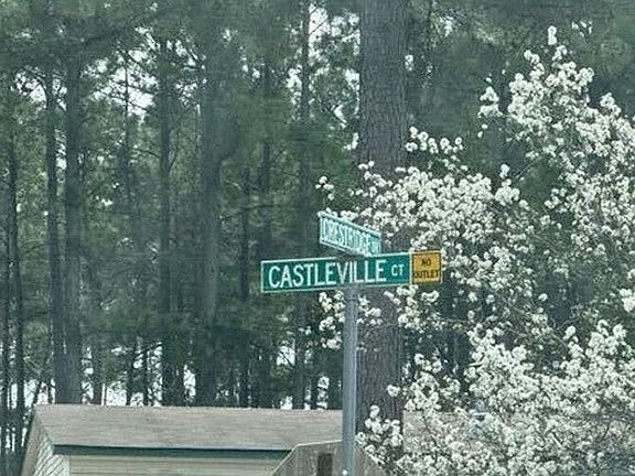 5th image of 127 Castleville Ct