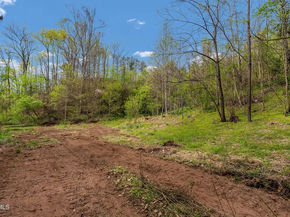 Tbd Chambers Dr, Elizabethton, TN 37643