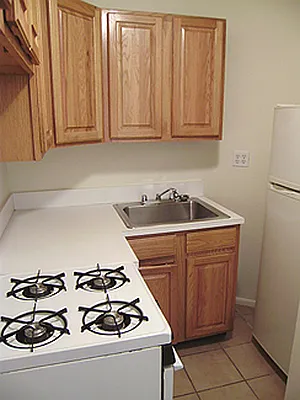 Rented by Saldo Properties | media 10