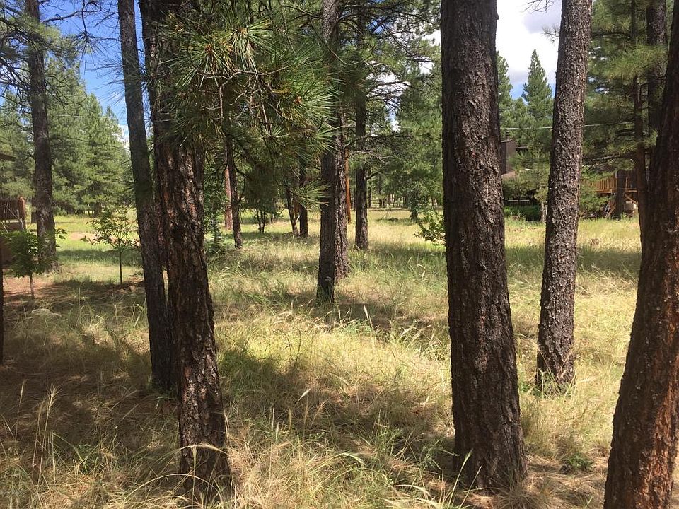 1st image of 17175 Trailwinds Pl