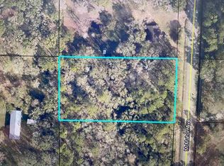 9865 McMahon Ave, Hastings, FL 32145