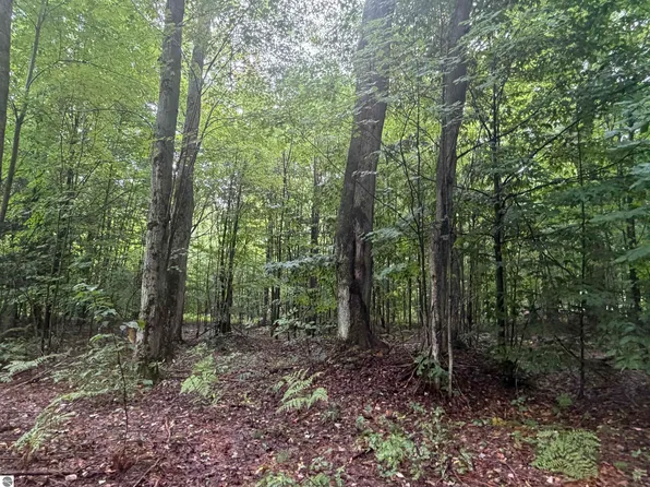 Demerly Rd, Benzonia, MI 49616