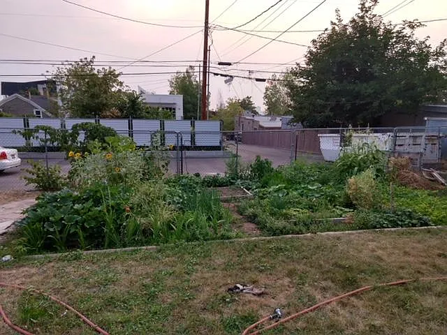 view to the west of back garden area and parking/back access