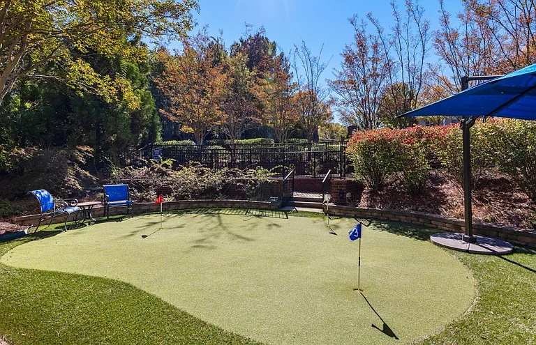 Park at Johns Creek 55+ Active Adult Living — Photo 33