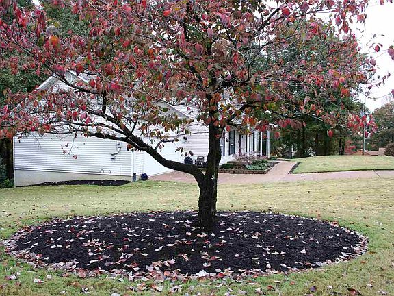 2nd image of 25 White Oak Cir