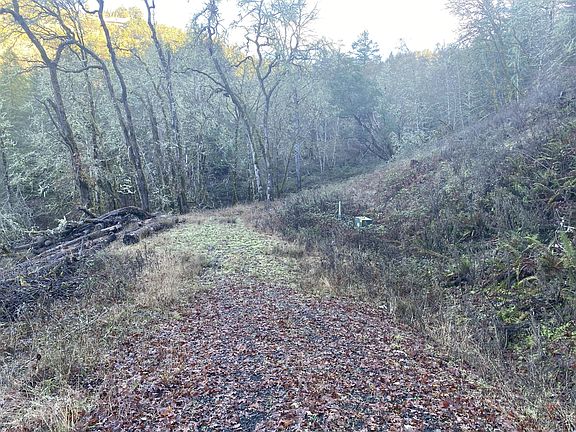 3rd image of 272 Deer Fern Way