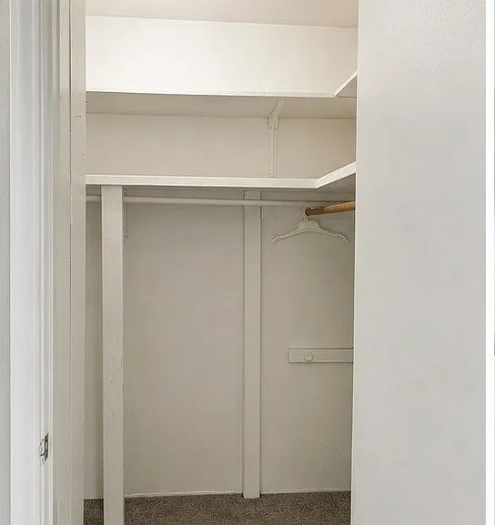 Spacious primary bedroom with a walk-in closet.