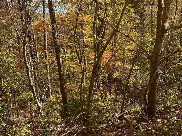 4619 Legacy Preserve Way SE, Brownsboro, AL 35741