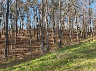 LOT 208 Pinnacle Dr, Ellijay, GA 30540