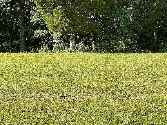 4th image of 250 Cedar Pointe Dr