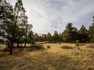 18510 Birdseye Vw, Peyton, CO 80831