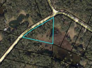 0 NE 290th Ave, Old Town, FL 32680