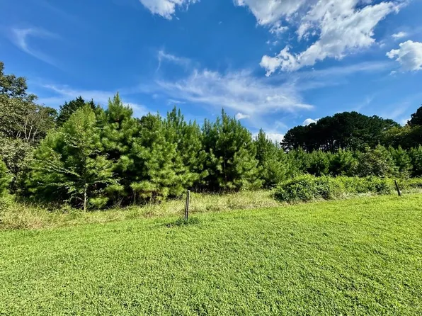 4971 Carters Point Rd, Buffalo Junction, VA 24529