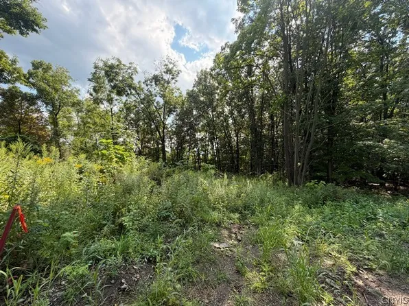 4627 State Route 414 Lot 14, Burdett, NY 14818
