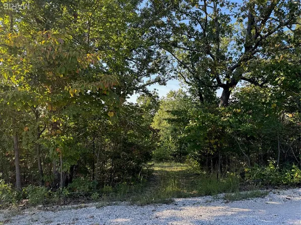 LOT -6B Lakeview Dr, Perryville, MO 63775