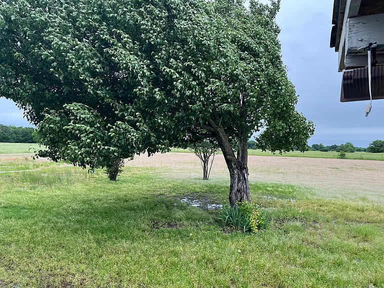 View of the property!