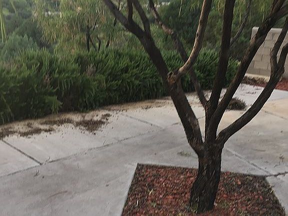 5th image of 4545 N Eddie Ward Way