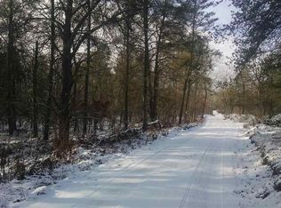 0 W Freeman Rd, Free Soil, MI 49411