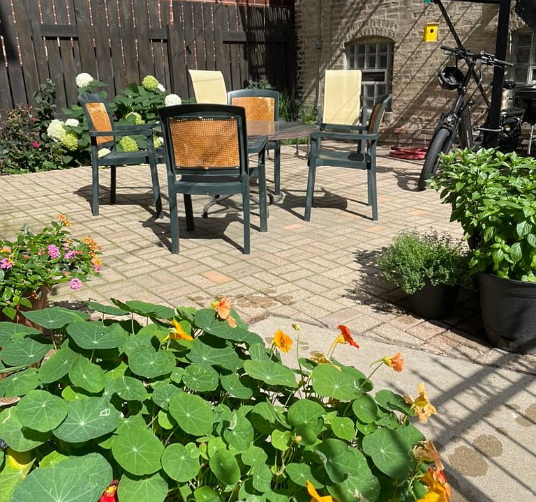 courtyard outside the coach house door