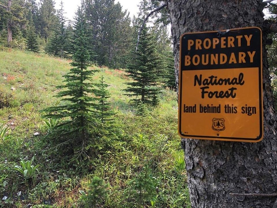 694 Trapper Creek Rd, Dillon, MT 59725 Zillow