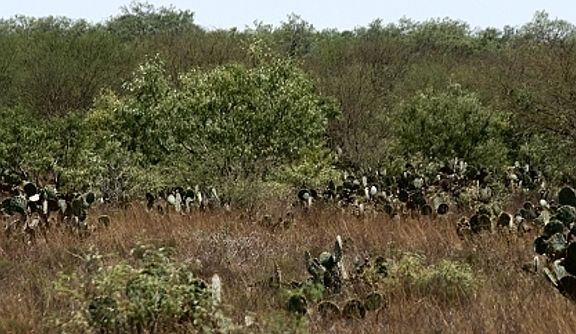 2nd image of County Road 103