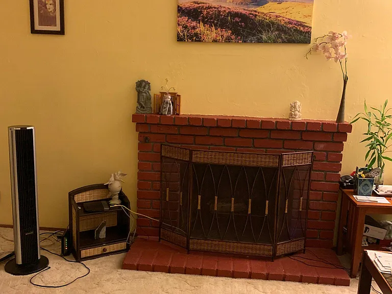 Wood burning fireplace in family room