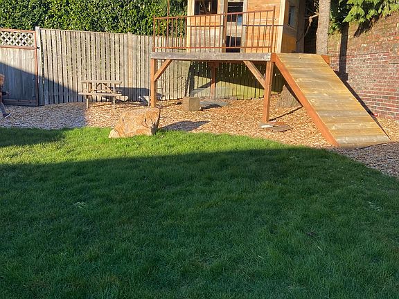 Tree house in the backyard