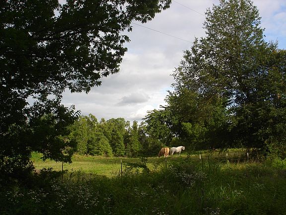 5th image of 384 N County Road 35810