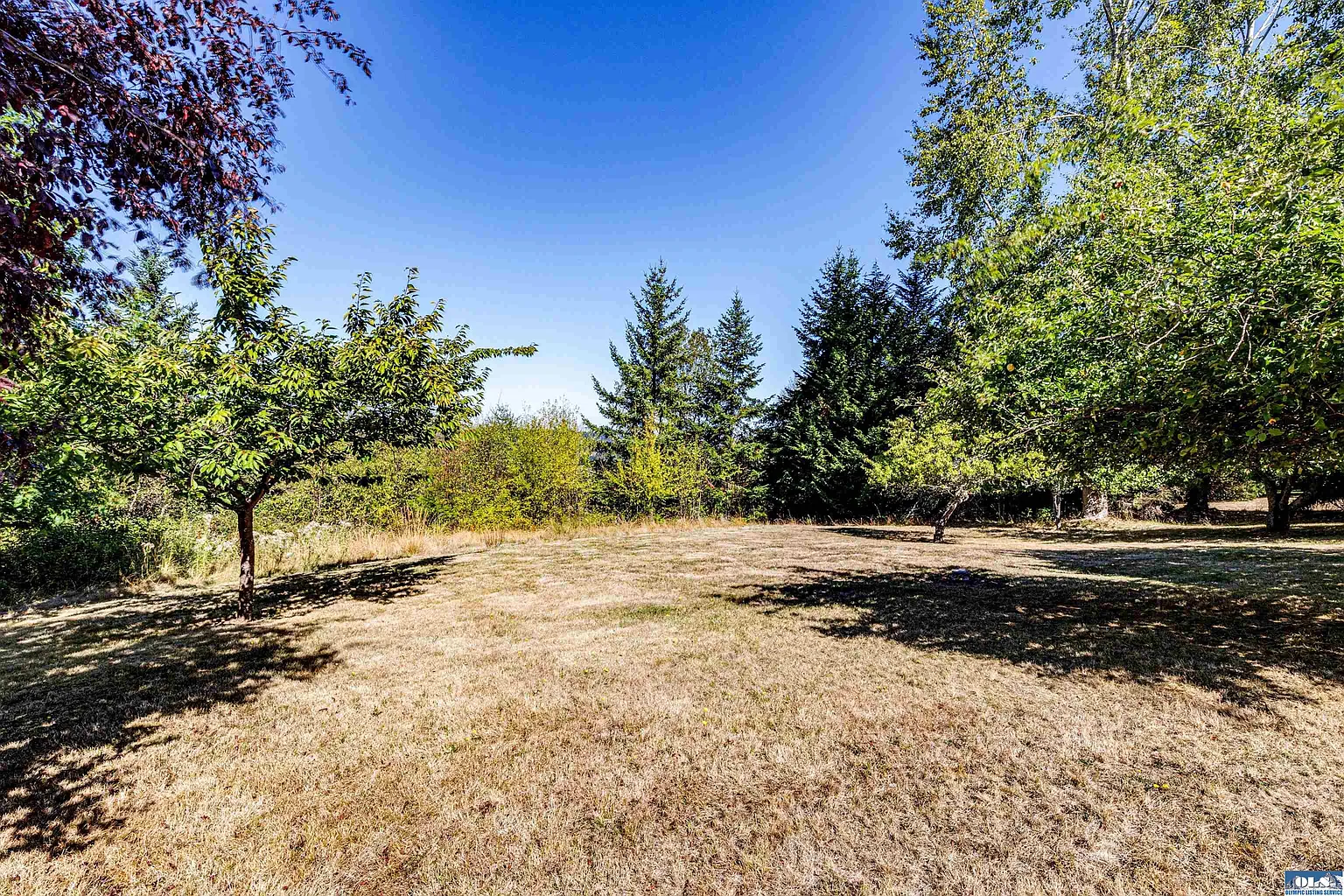 9999 Clara Crest Ln photo 1