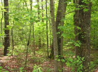 229 Tall Pine Cir, Tellico Plains, TN 37385
