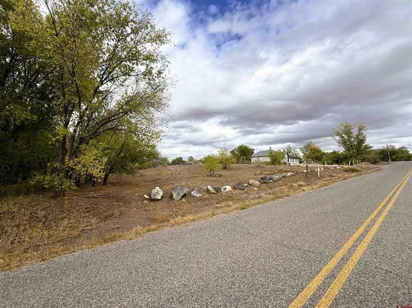 Lot 5 Fairview (2007) Road, Austin, CO 81410