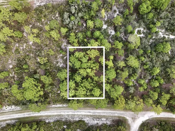 1137 REDBIRD STREET LOT 19, LAKE PLACID, FL 33852