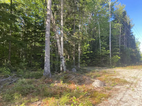 114 Sandy Acres Drive, Sullivan, ME 04664
