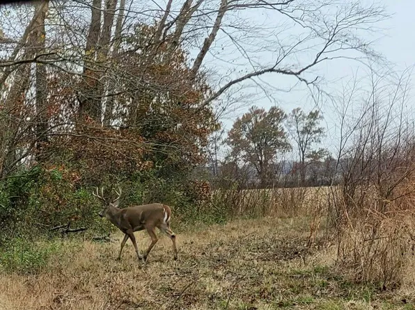 457 County Road 1300 N, Enfield, IL 62835