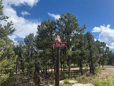 LOT 16 Los Nidos, Pecos, NM, 87552