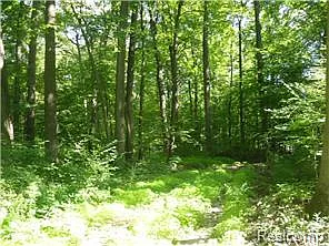 2585 Peavy Rd photo 1