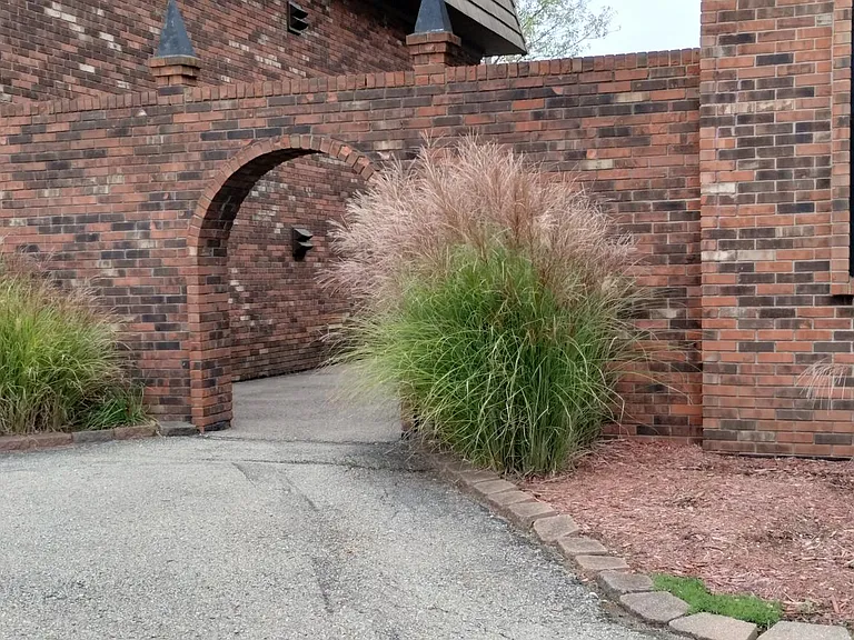 10056 Sandusky Rd #5 — Photo 14