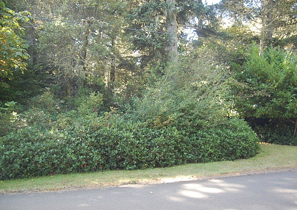 1st image of 411 Draconis Ave SE